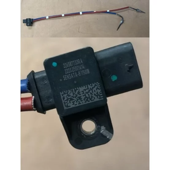 226587733R Knmodel 226587733R Eksoz Gaz Sıcaklık Kaptörü 